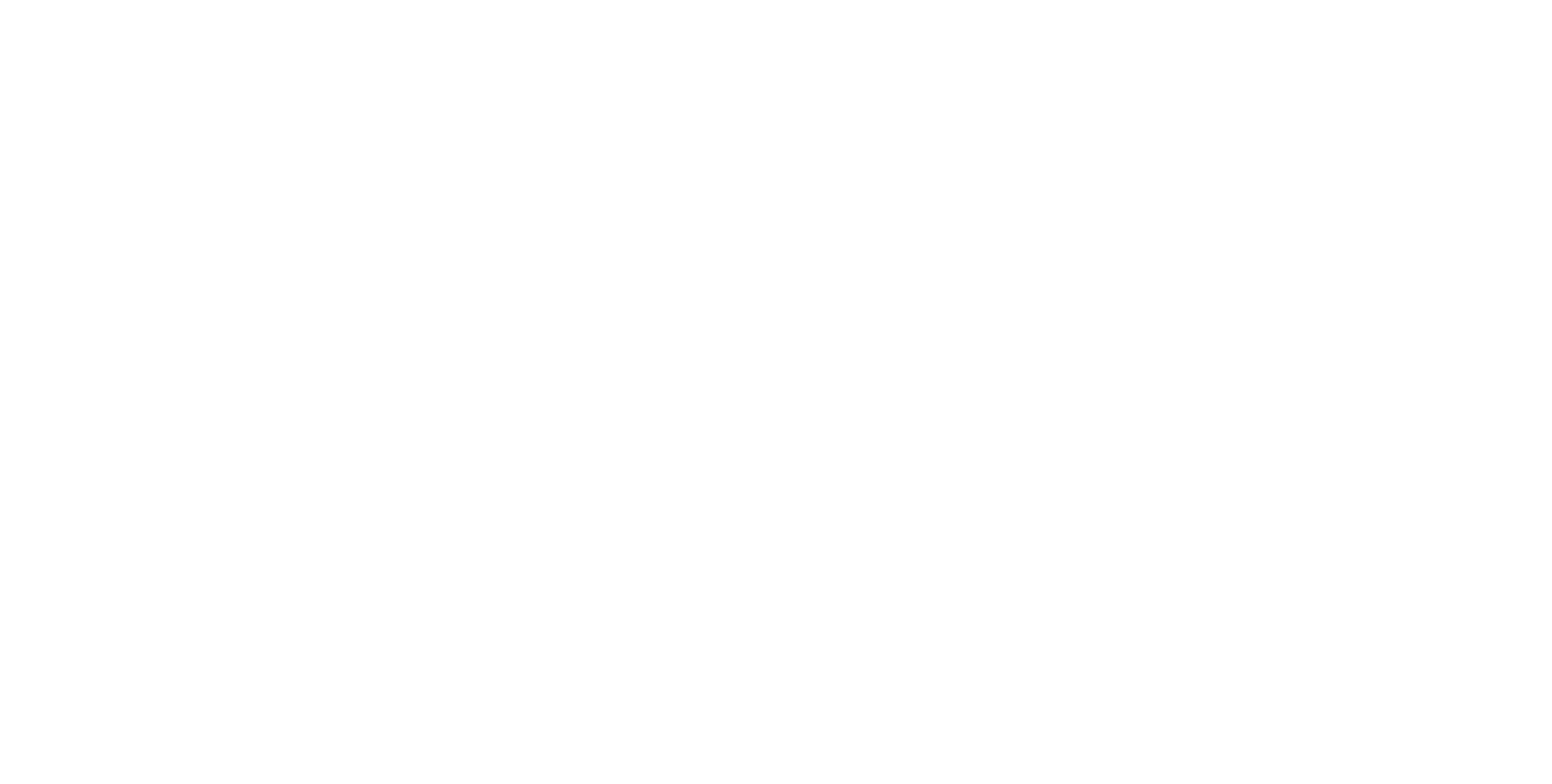 SMZH Logo Badge -  Basel - White